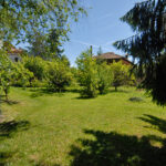 Thumbnail of 