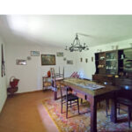 Thumbnail of 