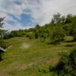 Thumbnail of 