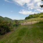 Thumbnail of 