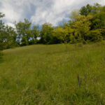 Thumbnail of 