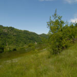 Thumbnail of 