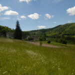 Thumbnail of 
