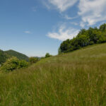 Thumbnail of 
