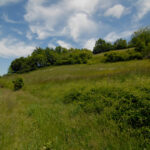 Thumbnail of 