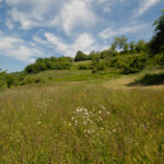 Thumbnail of 