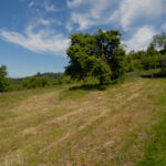 Thumbnail of 