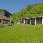 Thumbnail of 