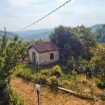 Thumbnail of 