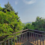 Thumbnail of 