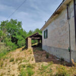 Thumbnail of 