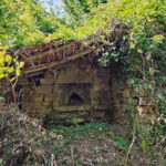 Thumbnail of 