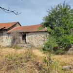 Thumbnail of 