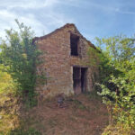 Thumbnail of 