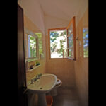 Thumbnail of 