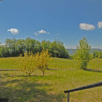 Thumbnail of 