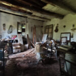 Thumbnail of 