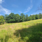 Thumbnail of 