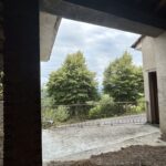 Thumbnail of 