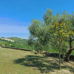 Thumbnail of 
