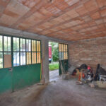 Thumbnail of 