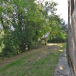 Thumbnail of 