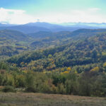 Thumbnail of 
