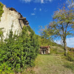 Thumbnail of 